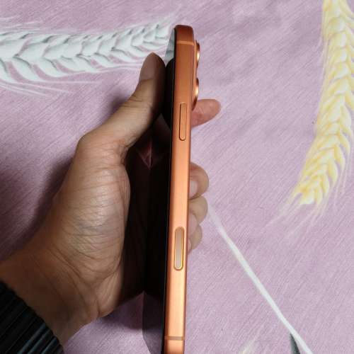 Iphone 17 pro max 256g 港行