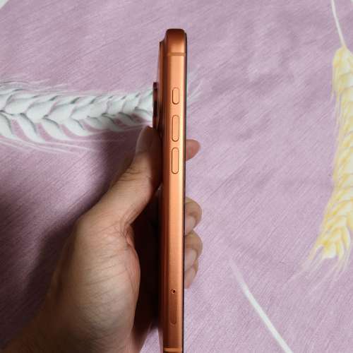 Iphone 17 pro max 256g 港行