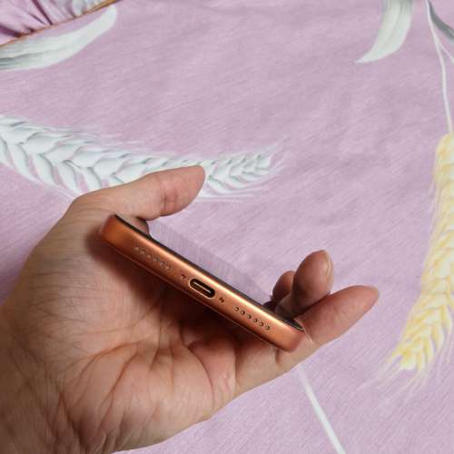Iphone 17 pro max 256g 港行