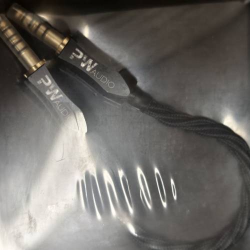 pw audio firsttime 對錄缐