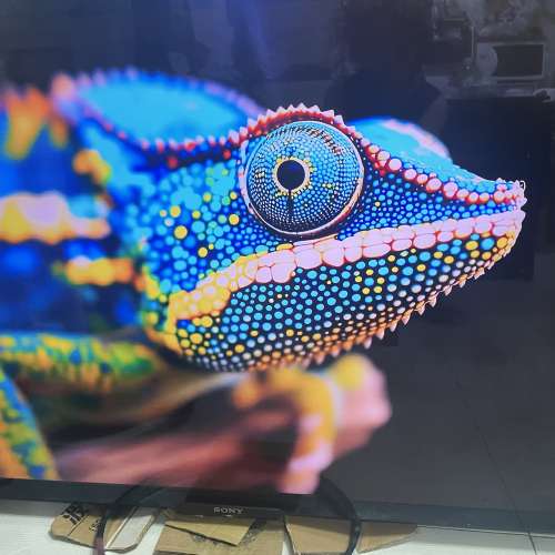 SONY  BRAVIA  55吋 電視機 KD-55X9000A  Triluminos display 3D  4K  連遙控 Made...