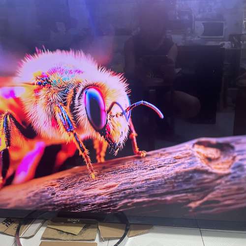 SONY  BRAVIA  55吋 電視機 KD-55X9000A  Triluminos display 3D  4K  連遙控 Made...