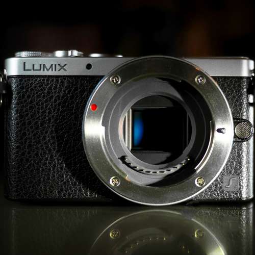 Panasonic Lumix DMC-GM1 (Body Only)