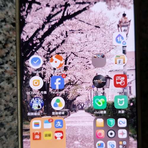 vivo x200pro 12+256 國行版