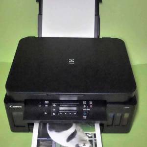 新淨少用良好2個墨盒機款入滿墨水合個人公司出單出稿Canon Pixma G6070加墨式多合一...