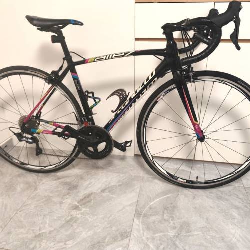 Specialized 公路車｜鋁架碳叉｜SHIMANO ULTEGRA R8000 變速套件｜Controltech 超輕...