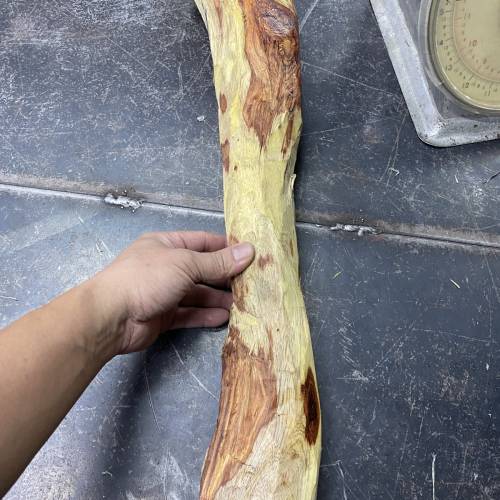 正宗海南黃花梨（降香黃檀）