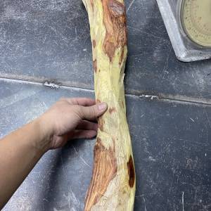正宗海南黃花梨（降香黃檀）