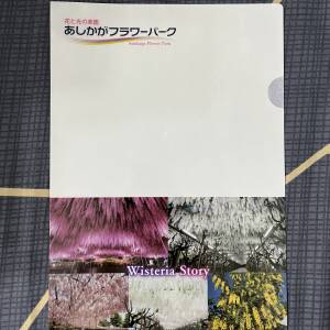 100% 全新日本栃木縣足利花卉公園 Ashikaga Flower Park plastic folder 1 個