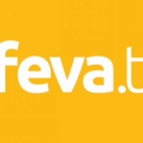 i-FEVA FevaWorks 網上視像課程