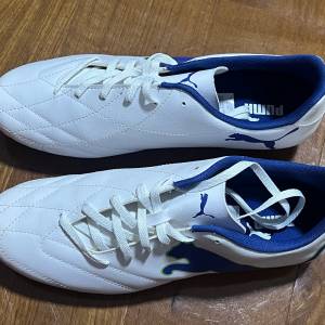 全新Puma球鞋