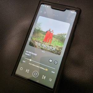 Shanling 山靈M8T