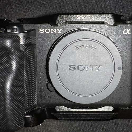 Sony ZV-E1 ＋ 斯莫格兔籠