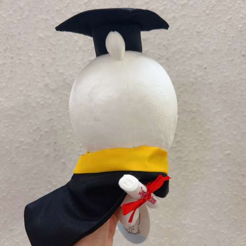 睇下文‼️ 正版joke bear畢業公仔 自嘲熊畢業公仔 Joke bear graduation plush gift