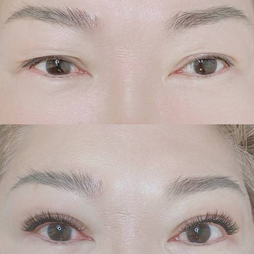 搵眼睫毛model
