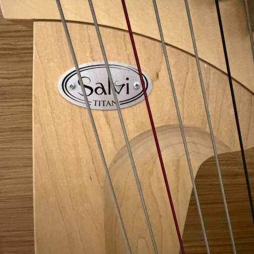 豎琴Salvi