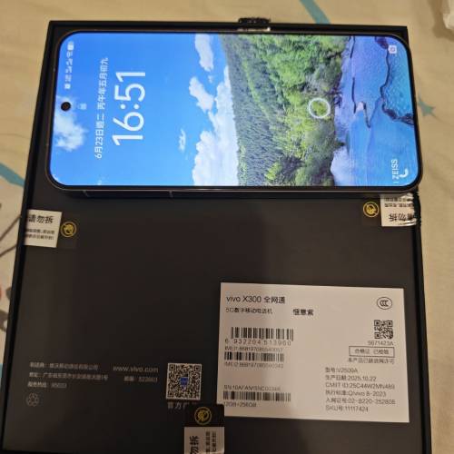 9成9新vivo x300 12+256 紫色國行全網通
