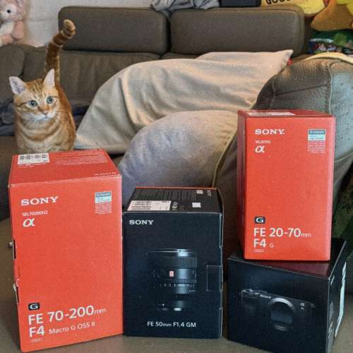 sony a7cii, FE 20-70mmF4, FE50mmF1.4GM, FE70-200mmF4 G2