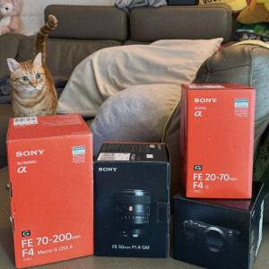 sony a7cii, FE 20-70mmF4, FE50mmF1.4GM, FE70-200mmF4 G2