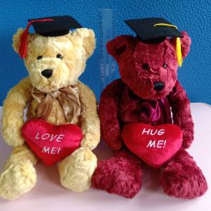 Love bear