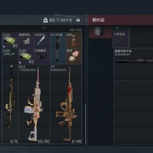 三角洲國際服護航