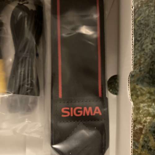 Sigma 全新 SD1M 重型單反 相機肩帶