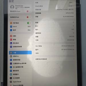 Apple iPad Pro 12.9-inch (Gen2) 256GB wifi mon 有印