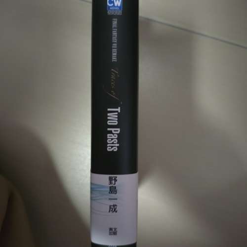 FFVII Two Pasts 小說 中文 Final Fantasy VII