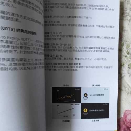 理解指數期權：香港交易者入門指南