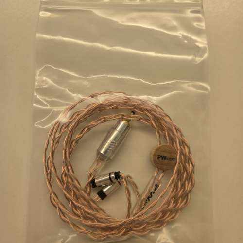 PW Audio 盲盒線 兩條