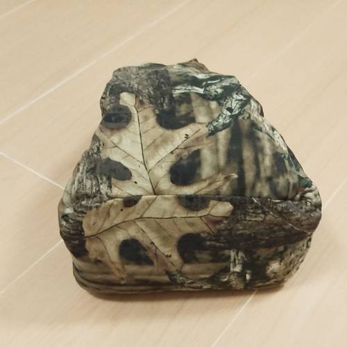 鏡頭炮枕