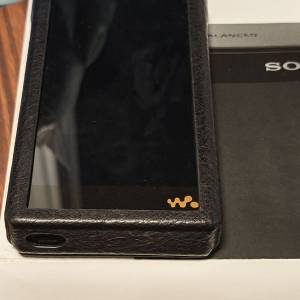 Sony NW-WMIAM2+兩對耳機