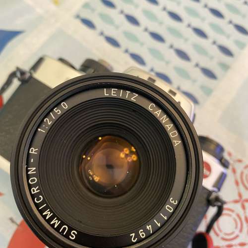 Leica R6.2 with 50mm Summicron-R F2