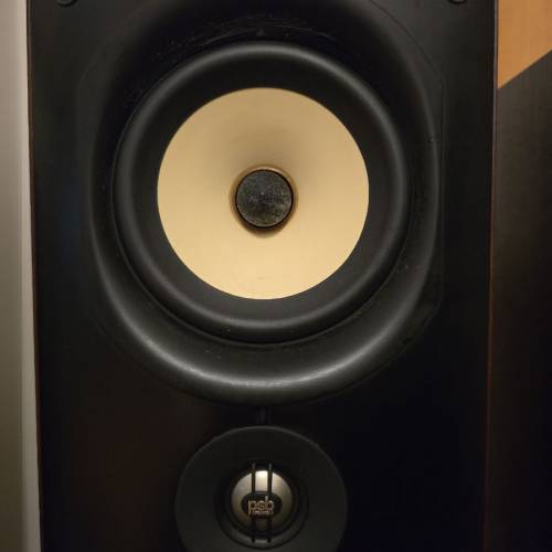PSB Speakers Image T6 Floorstanding Speakers