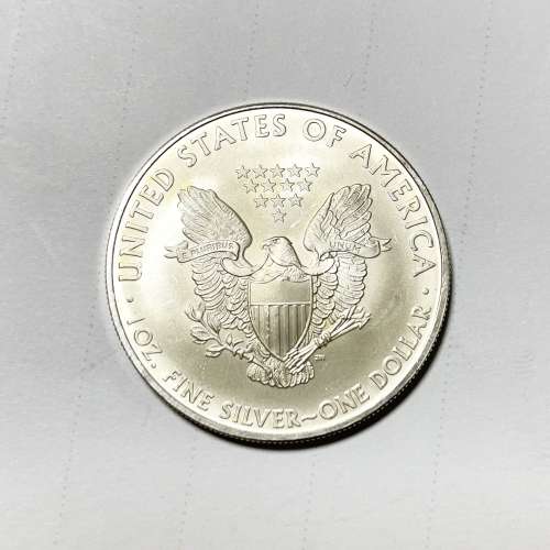 2010 American Silver Eagle Coin 1oz 美國鷹揚銀幣1安士