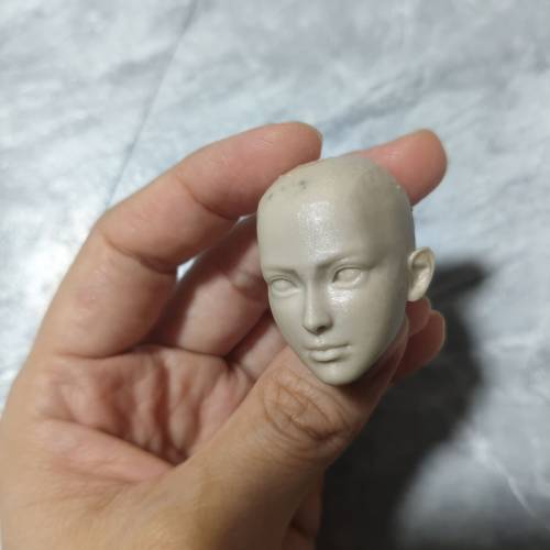 1/6頭雕白模
