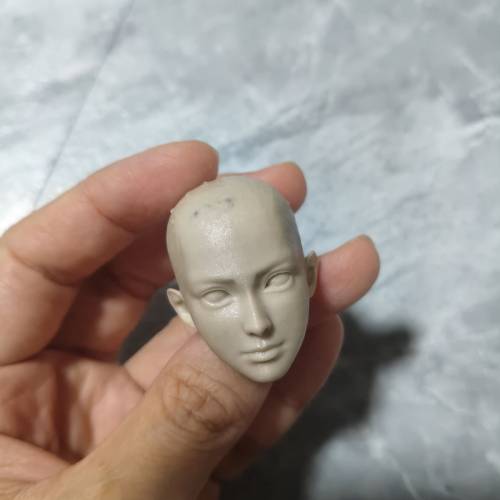 1/6頭雕白模