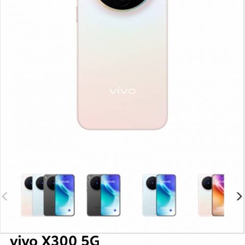 vivo x300 12+512gb