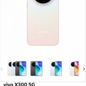 vivo x300 12+512gb