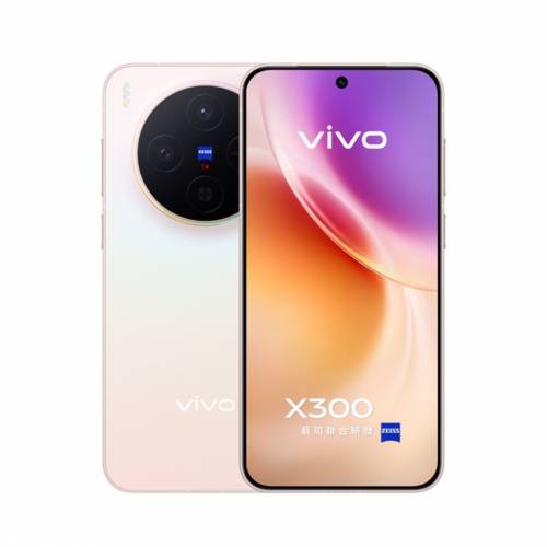 vivo x300 12+512gb