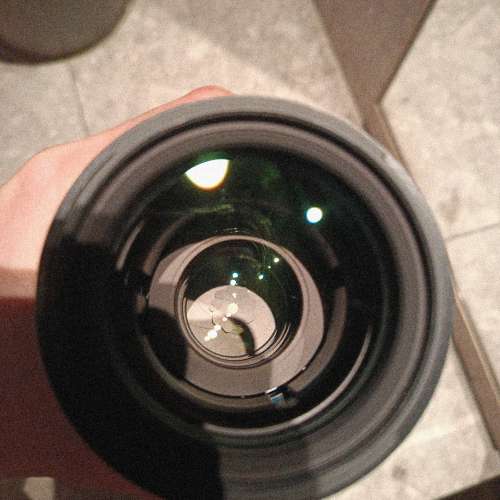 Sigma 105mm f/2.8 DG DN Macro (emount)