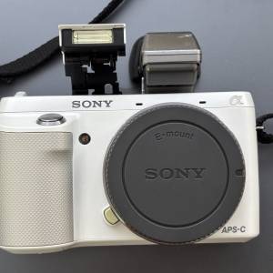 Sony NEX-F3 + EV1S