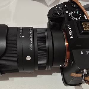 Sigma 16-300mm (行貨3日鏡)