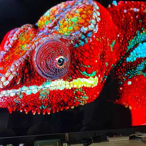 LG  C3 55吋 OLED evo 4K