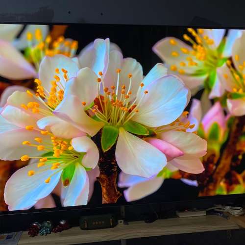 LG  C3 55吋 OLED evo 4K