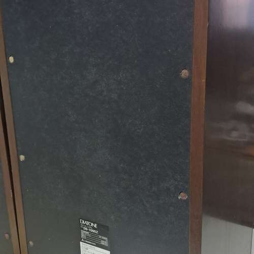 DIATONE DS-1000Z  一對