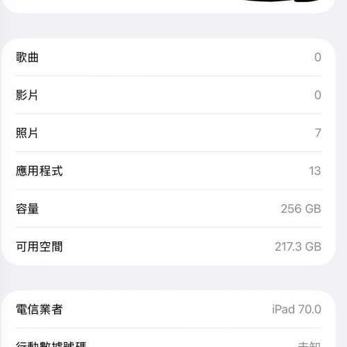 iPad Pro 11&rdquo; m1/256 (WiFi+5G版）