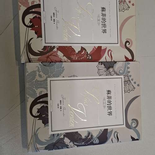 《蘇菲的世界》。