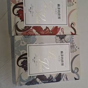 《蘇菲的世界》。