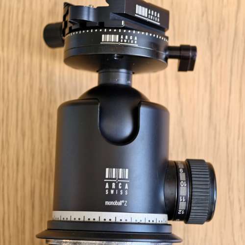 Gitzo GT4552ts & Arca Swiss Z1 dp